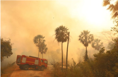 Imagem da notícia MS segue combate contra incêndios florestais com Operação Pantanal 2024